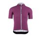 Q36.5 L1 Pinstripe X Fietsshirt Korte Mouwen Paars Heren