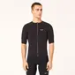 Q36.5 x Oakley Gridskin Pinstripe Fietsshirt Korte Mouwen Zwart Heren