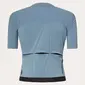 Q36.5 x Oakley Gridskin Pinstripe Fietsshirt Korte Mouwen Blauw Heren