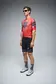 Q36.5 Gregarius Clima Q Lab Fietsshirt Korte Mouwen Rood Heren