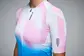 Q36.5 Gregarius Pro Big Logo Fietsshirt Korte Mouwen Blauw/Roze Dames
