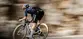 Q36.5 Dottore Pro Q36.5 Pro Cycling Team Fietsbroek Kort Zwart Heren