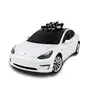 SeaSucker Ski/Snowboard Rack
