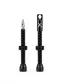 XAND Tubeless Ventielen 2 Stuks Zwart