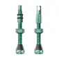 Peaty's Holeshot Fast Flow Tubeless Ventielen Lichtgroen