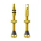Peaty's Holeshot Fast Flow Tubeless Ventielen Goud