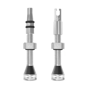 Peaty's Holeshot Fast Flow Tubeless Ventielen Zilver