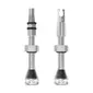 Peaty's Holeshot Fast Flow Tubeless Ventielen Zilver