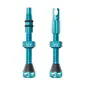 Peaty's Holeshot Fast Flow Tubeless Ventielen Turquoise