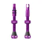Peaty's Holeshot Fast Flow Tubeless Ventielen Paars