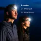BioLite Range 300 Hoofdlamp Grijs