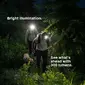 BioLite Range 300 Hoofdlamp Grijs