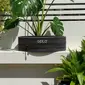 Gato Stretch Belt Zwart