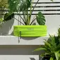 Gato Stretch Belt Neon Geel