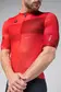 Gobik Stark Fietsshirt Korte Mouwen Rood/Rood Heren