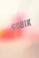 GOBIK Hyder Fietsshirt Lange Mouwen Bruin Heren — afbeelding 9