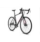 Fuji Endurance Sportif 1.3 Disc Racefiets Pearl Zwart/Rood
