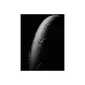 Goodyear Eagle F1 R Racefiets Band Zwart
