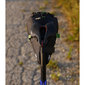 Miss Grape Cluster 7 Road Waterproof Zadeltas Zwart