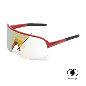 PPEEQQ Model-I P R O -Thomas De Gendt- Photochromic Bril Rood Metalic Goud