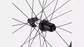 Roval Rapide CL II Carbon Tubeless Disc Race Achterwiel Carbon/Zwart