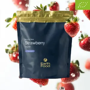 EarthFood Fast Recovery Drank Biologisch Aardbei 750 gram