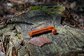 Granite Design Tire plug kit Oranje