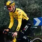 YellowB Visma Lease a Bike Replica Fietsshirt Lange Mouwen Geel Heren